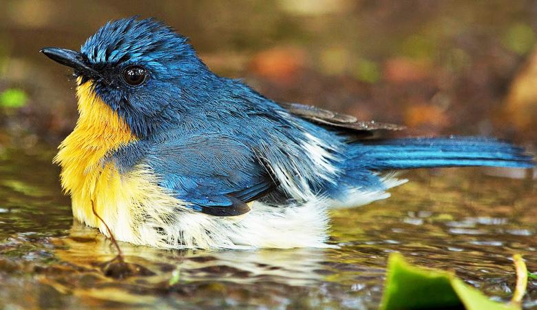 Heritage, Hills & Wildlife 9